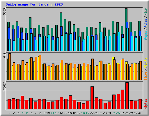 Daily usage for January 2025