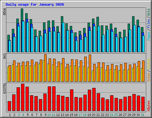 Daily usage for January 2026