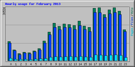 Hourly usage for February 2013