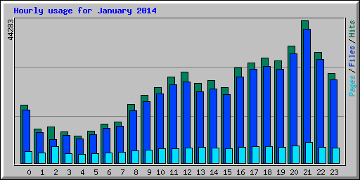 Hourly usage for January 2014