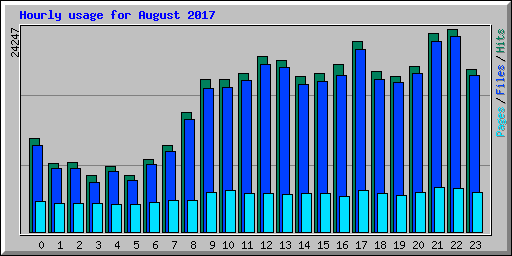 Hourly usage for August 2017