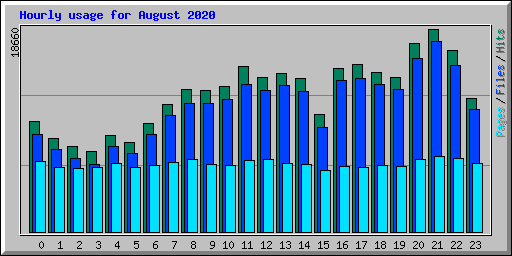 Hourly usage for August 2020
