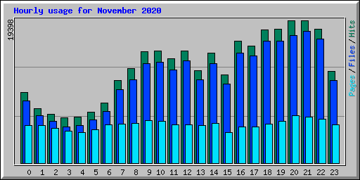 Hourly usage for November 2020