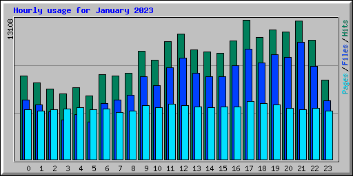 Hourly usage for January 2023