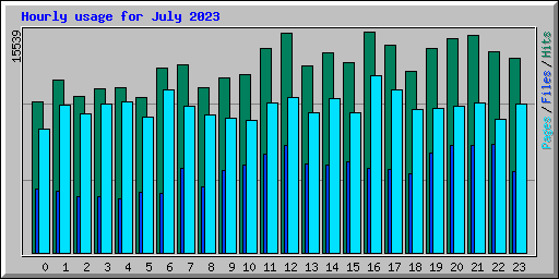Hourly usage for July 2023