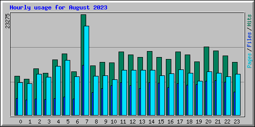 Hourly usage for August 2023