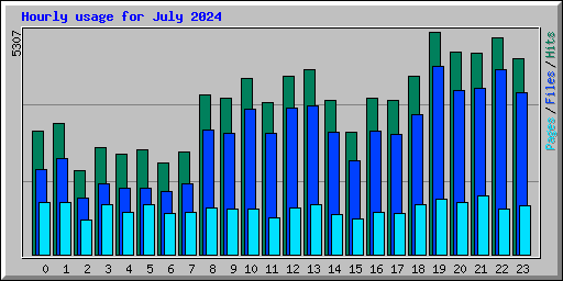 Hourly usage for July 2024