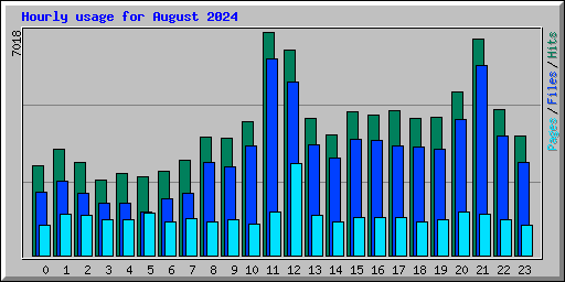 Hourly usage for August 2024