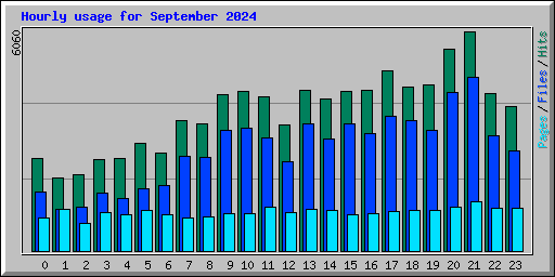 Hourly usage for September 2024