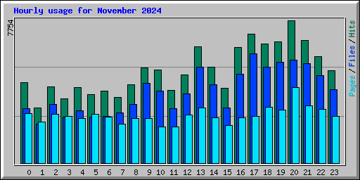 Hourly usage for November 2024