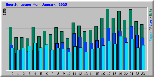 Hourly usage for January 2025