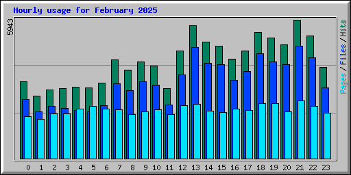 Hourly usage for February 2025