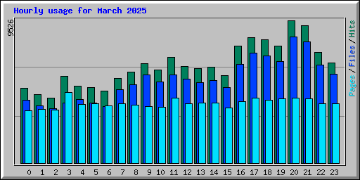 Hourly usage for March 2025
