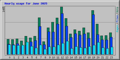 Hourly usage for June 2025