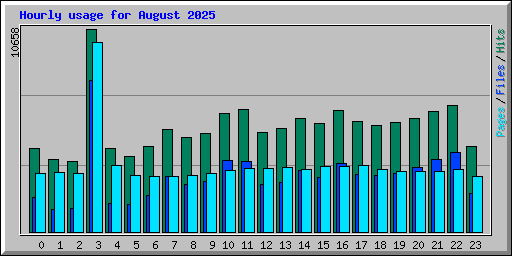Hourly usage for August 2025