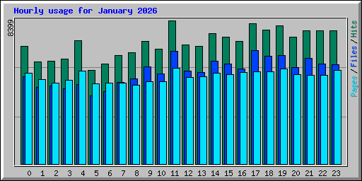 Hourly usage for January 2026