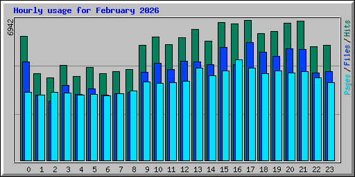Hourly usage for February 2026