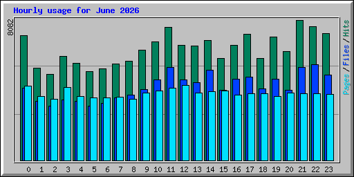 Hourly usage for June 2026