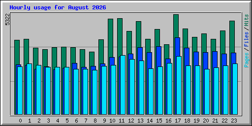 Hourly usage for August 2026